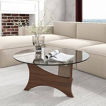 Amazon.com: dnziqi Glass Coffee Table Modern Round Coffee